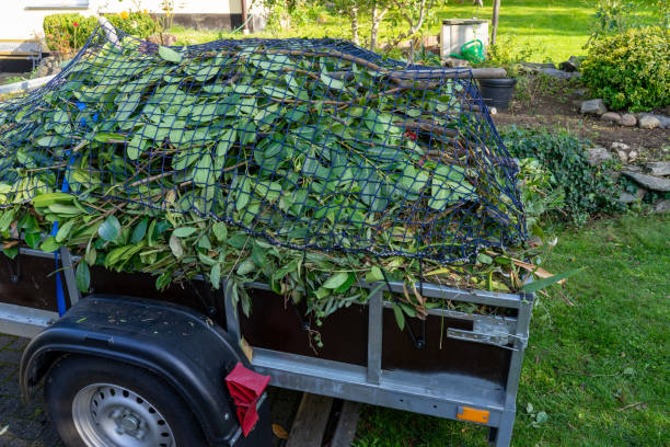 Best Residential Junk Removal  in Godfrey, IL